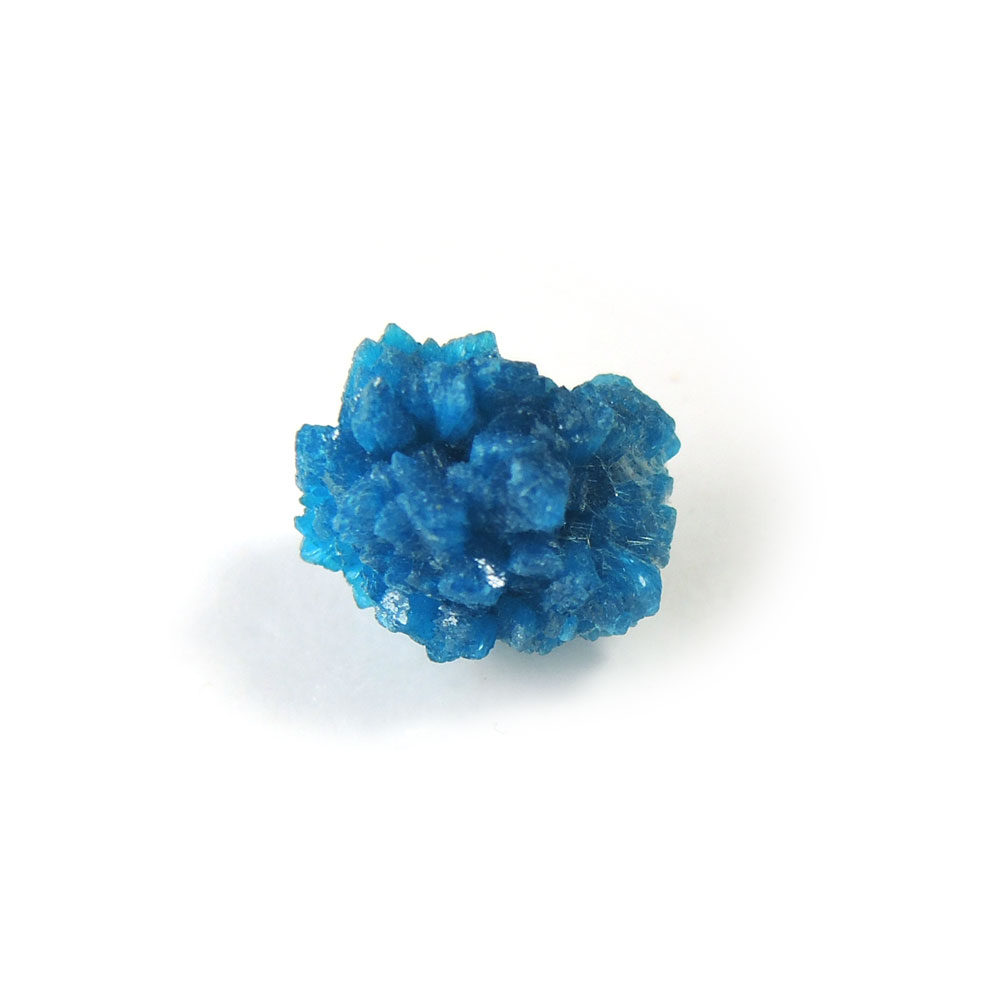 ڥݥ10%OFFۥХ󥵥 뾽   Cavansite Х ŷ ʪ 1 ʻ CVRS-100