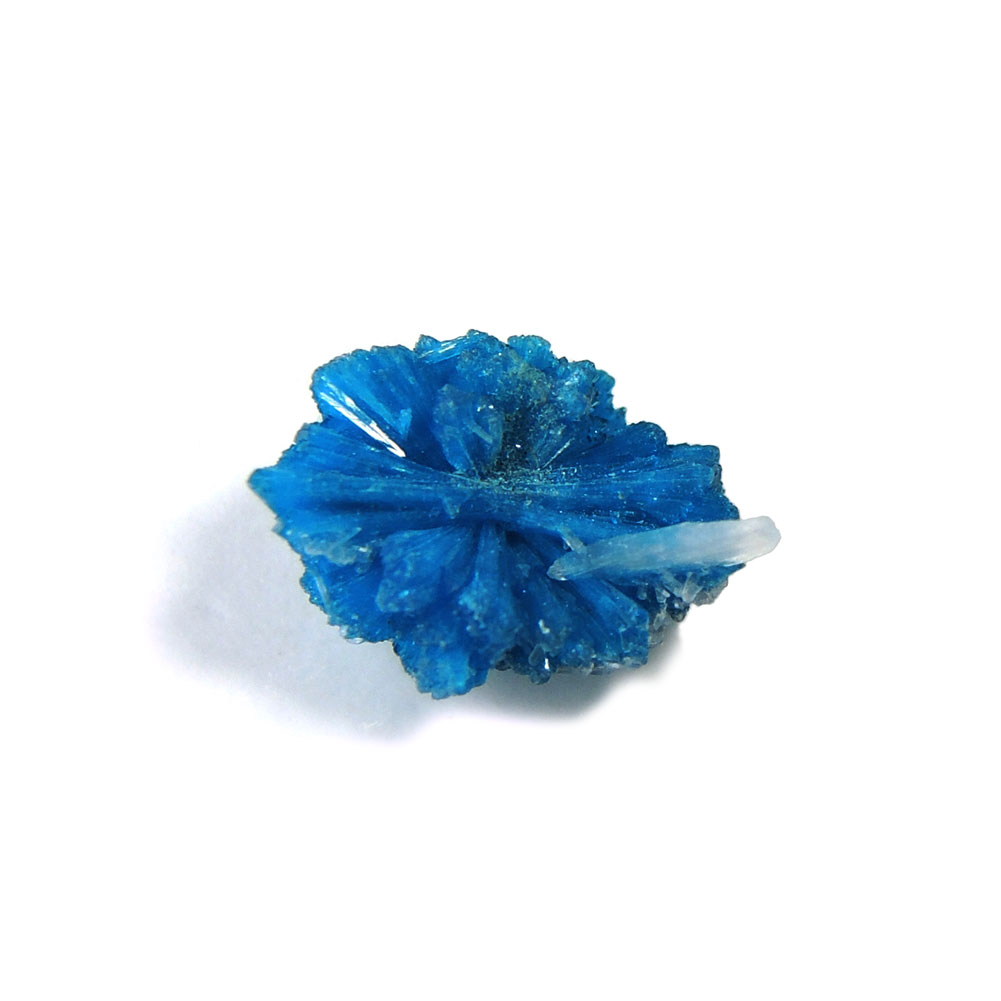 ڥݥ10%OFFۥХ󥵥 뾽   Cavansite Х ŷ ʪ 1 ʻ CVRS-103