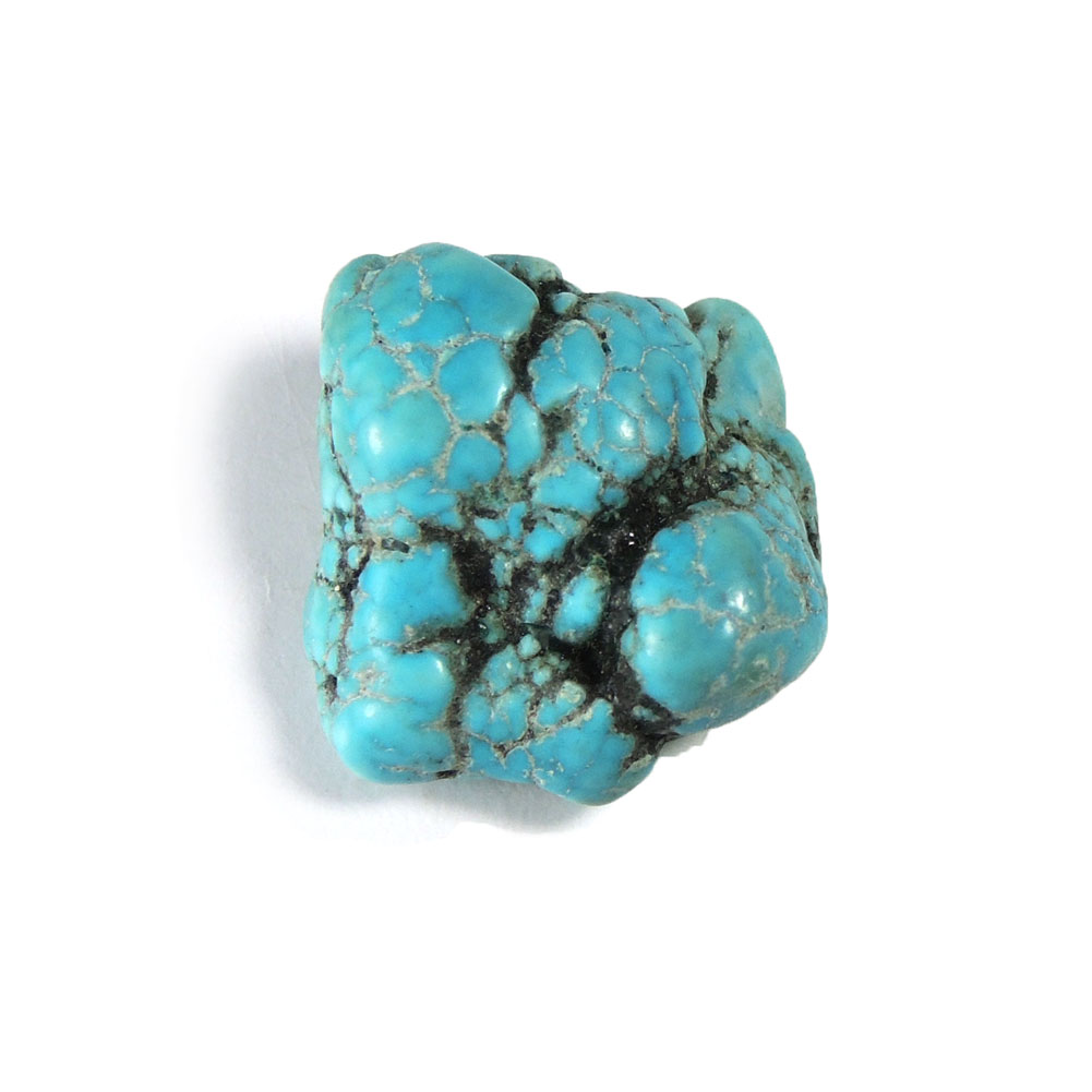 ڥݥ10%OFFۥ ᤭    Turquoise ȥ륳 12  ŷ ʪ 1 ʻ...