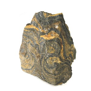 【クーポンで10%OFF】原核生物 シアノバクテリア(ストロマトライト)化石 cyanobacteria 1点もの 現品撮影 SIA-1