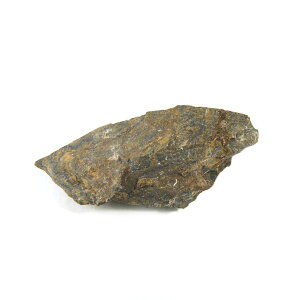 【クーポンで10%OFF】原核生物 シアノバクテリア(ストロマトライト)化石 cyanobacteria 1点もの 現品撮影 SIA-4