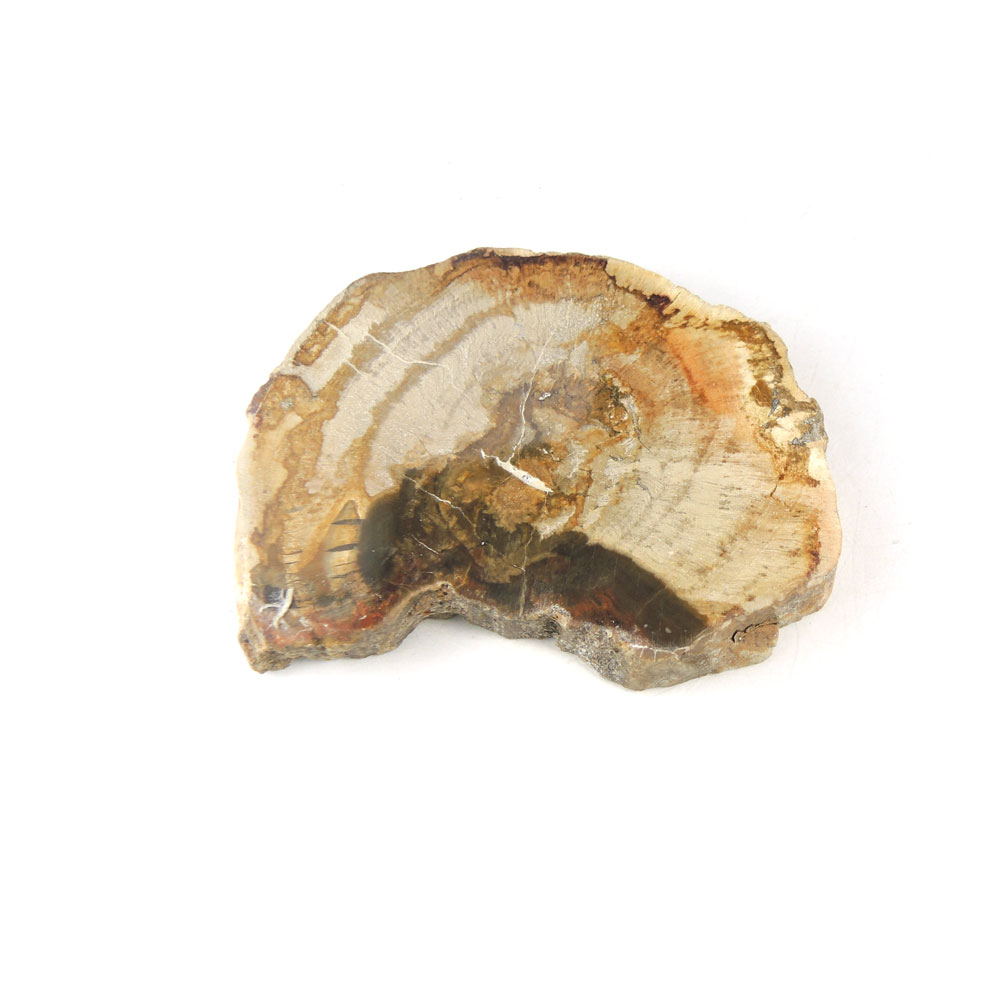 【クーポンで10%OFF】ペトリファイドウッド 原石 産地 マダガスカル Petrified Wood 珪化木 化石木 ウッドストーン シリリファイドウッド 天然石 鉱物 1点もの 現品撮影 WOP-162