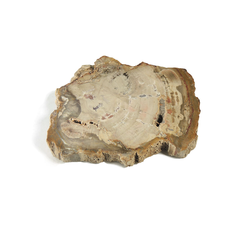 【クーポンで10%OFF】ペトリファイドウッド 原石 産地 マダガスカル Petrified Wood 珪化木 化石木 ウッドストーン シリリファイドウッド 天然石 鉱物 1点もの 現品撮影 WOP-165