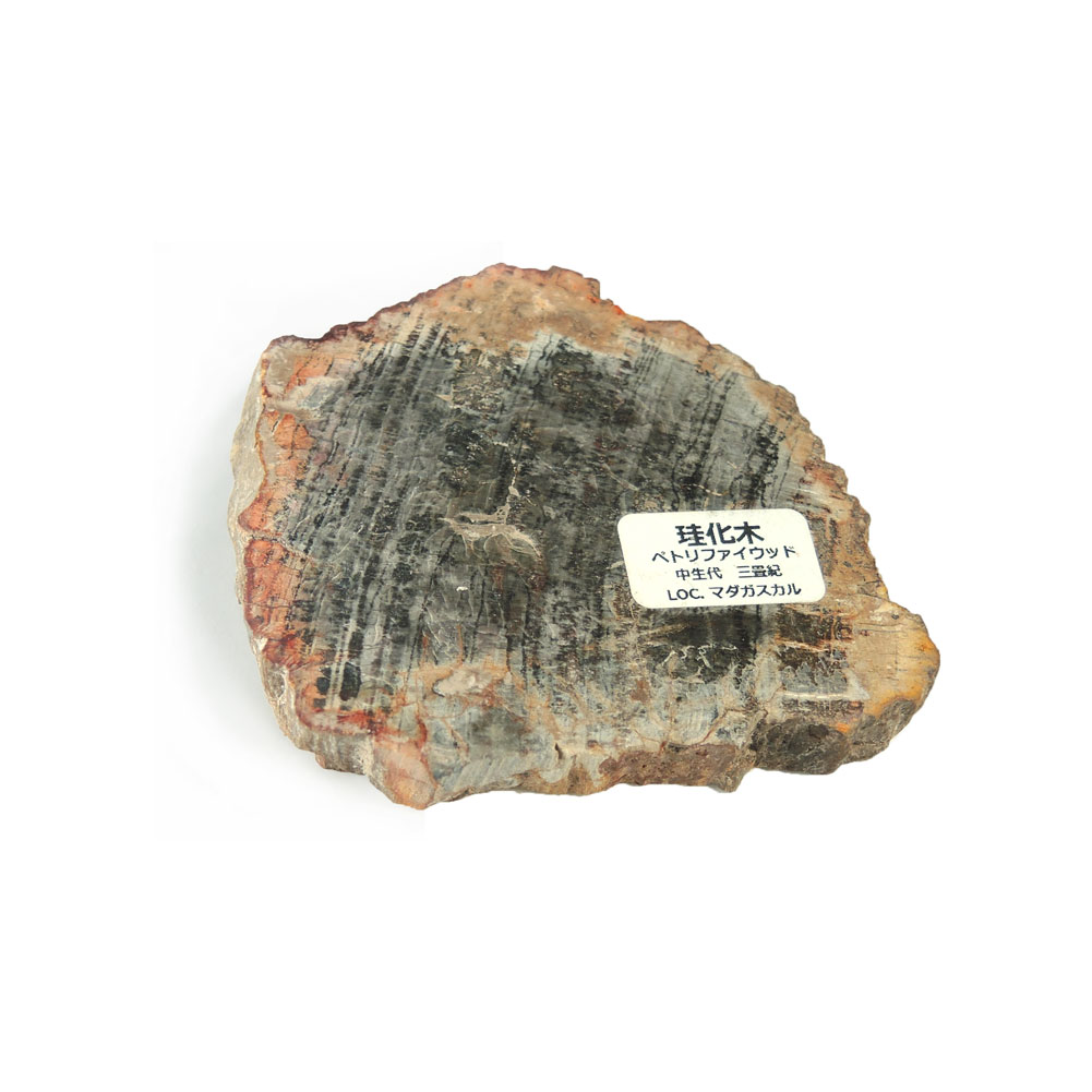 【クーポンで10%OFF】ペトリファイドウッド 原石 産地 マダガスカル Petrified Wood 珪化木 化石木 ウッドストーン シリリファイドウッド 天然石 鉱物 1点もの 現品撮影 WOP-172