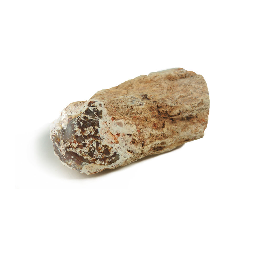 【クーポンで10%OFF】ペトリファイドウッド 原石 産地 マダガスカル Petrified Wood 珪化木 化石木 ウッドストーン シリリファイドウッド 1点もの 現品撮影 WOPB-14