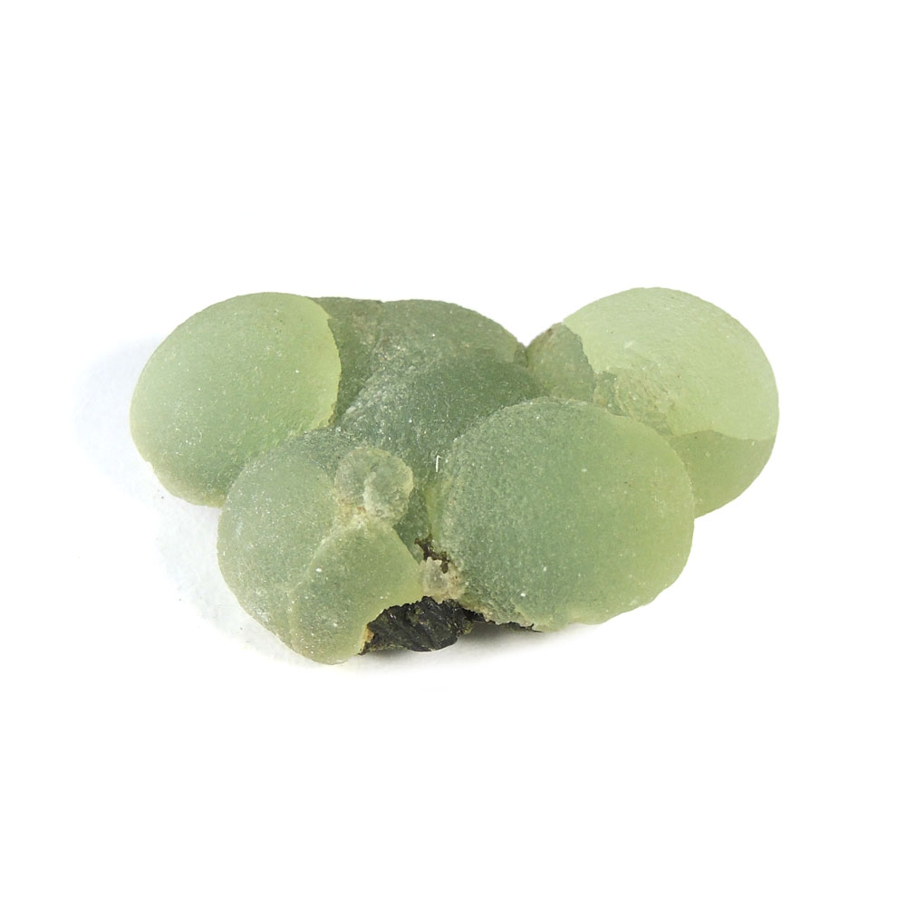 ڥݥ10%OFFۥץʥ  ޥ궦¹ Prehnite ֤ɤ ŷ ʪ 1 ʻ PRN-91