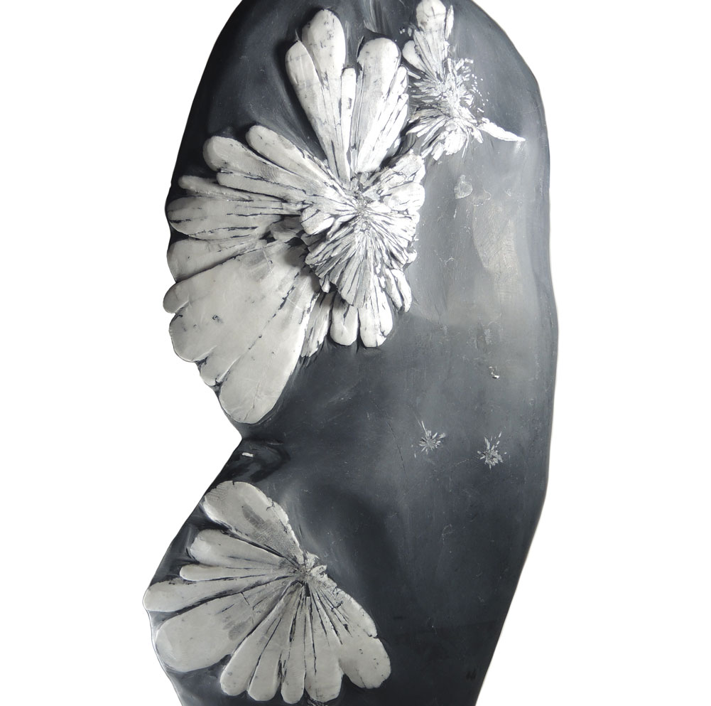 【クーポンで10%OFF】菊花石 クリサンスマムストーン 黒色石 灰質 粘板岩中の方解石 1点もの 現品撮影 KIK-30