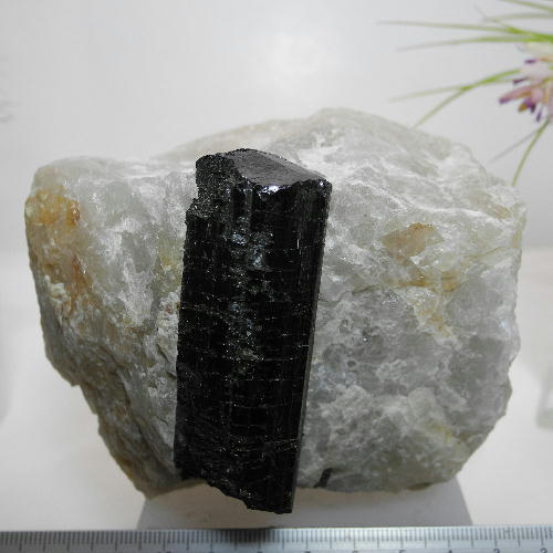  クーポンで10%OFF ブラックトルマリン入り 水晶 black tourmaline 電気...