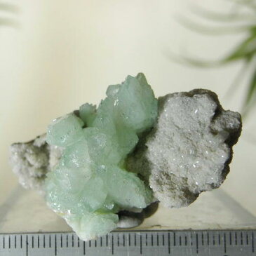 【よりどり10%OFF】ブルーアポフィライト 原石 産地 インド apophyllite 魚眼石 天然石 鉱物 1点もの 現品撮影 BA-29