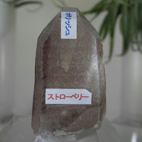  クーポンで10%OFF ストロベリークォーツ 頭磨き STQ-49