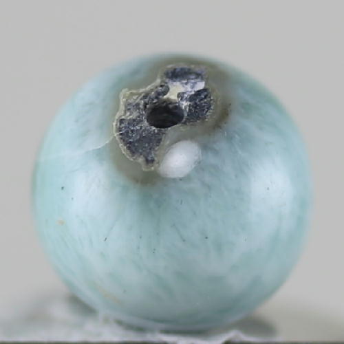  クーポンで10%OFF ラリマー ビーズ 丸玉 11.9mm 穴あき larimar pectol...