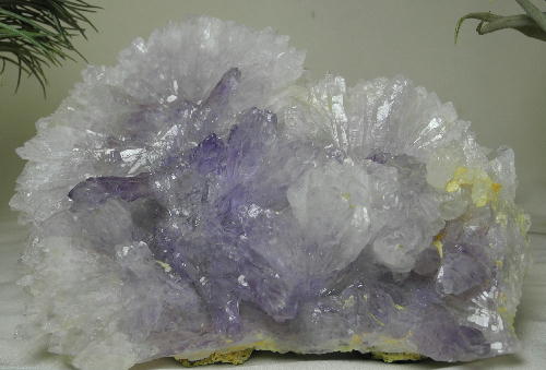 【よりどり10%OFF】フラワーアメジスト 原石 産地 ブラジル Amethyst アメシスト 紫水晶 2月 誕生石 天然石 鉱物 1点もの 現品撮影 AME-47