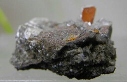 【クーポンで10%OFF】ウルフェナイト 原石 産地 メキシコ wulfenite モリブデン鉛鉱 天然石 鉱物 1点もの 現品撮影 WUL-54