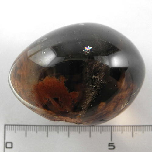 【クーポンで10%OFF】ガーデンクォーツ オーバル レンズ磨き 産地 ブラジル Garden Quartz 庭園水晶 苔入り水晶 クローライト水晶 天然石 鉱物 1点もの 現品撮影 GO-119