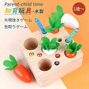 【在庫処分】 知育玩具 木のおもちゃ ひっつきむし 引っ付き虫 ひっつき虫 出産祝い 1歳 2歳 3歳 ハーフバースデー 虫釣り お誕生日 入園祝い 誕生日 プ...