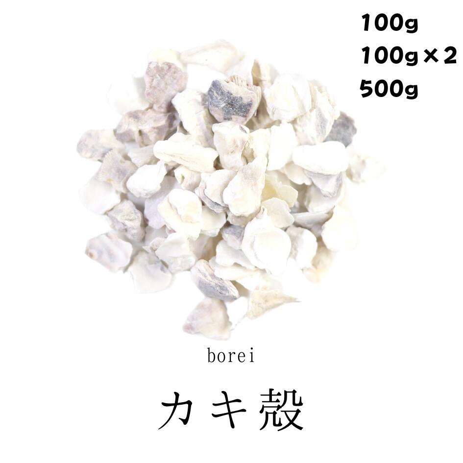 Rakuten - カキ殻 100g/200g/500g 牡蛎 ぼれい 無添加 薬膳茶 生薬 煎じ茶 茶 茶葉 食品 無添加食品 煎じ用