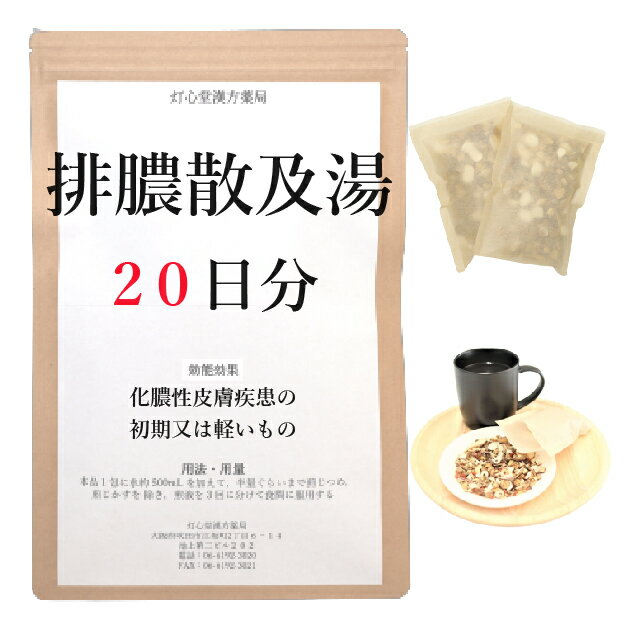 排膿散及湯 20日分(20包) 煎じ薬 はいのうさんきゅうとう はいのうさん 漢方薬 化膿性皮膚疾患の初期又は軽いもの 歯肉炎 扁桃炎 化膿 膿 薬局製剤 漢方 ハイノウサンキュウトウ