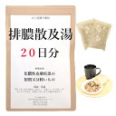 排膿散及湯 20日分(20包) 煎じ薬 はいのうさんきゅうとう はいのうさん 漢方薬 化膿性皮膚疾患の初期又は軽いもの 歯肉炎 扁桃炎 化膿 膿 薬局製剤 漢方 ハイノウサンキュウトウ