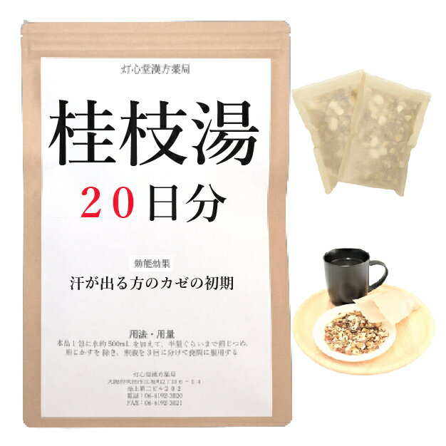 桂枝湯 20日分(20包) 煎じ薬 汗がでる方のかぜの初期 漢方 ケイシトウ けいしとう