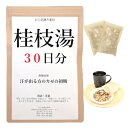 桂枝湯 30日分(30包) 煎じ薬 汗がでる方のかぜの初期 漢方 ケイシトウ けいしとう