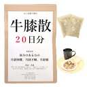 牛膝散 20日分(20包) 煎じ薬 体力のある方の生理痛 生理不順 月経困難 漢方 ゴシツサン ごしつさん