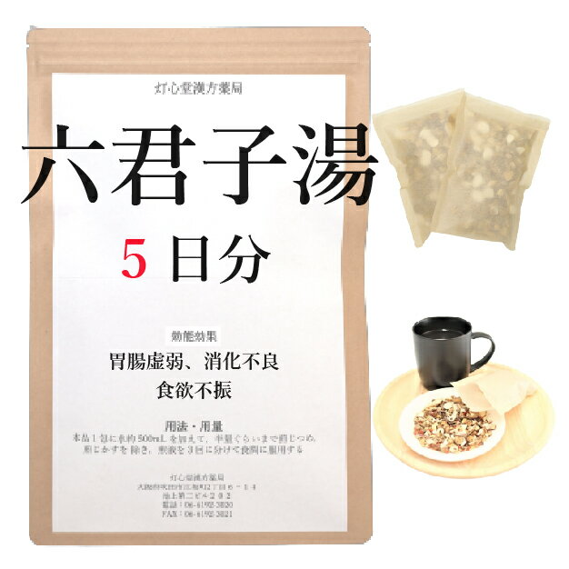 六君子湯 5日分(5包) 煎じ薬 りっくんしとう 漢方薬 胃 胃痛 胃薬 胃腸虚弱 消化不良 食欲不振 胃下垂 薬局製剤 漢方 リックンシトウ せんじ薬 お薬 胃腸 胃腸薬のサムネイル