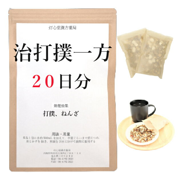 治打撲一方 20日分(20包) 煎じ薬 打撲(だぼく) 捻挫(ねんざ) 薬局製剤 漢方 ぢだぼくいっぽう じだぼくいっぽう