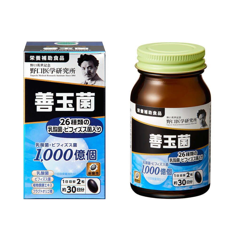 野口医学研究所 善玉菌 (500mg×60粒) 約30日分