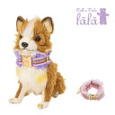 fafa 犬の首輪 WILLOW ROSE 6041-2001 フェフェ ペット ペット用品 犬 首輪 おでかけ ペットグッズ リード ピンク 紫 旅行 ブラン...