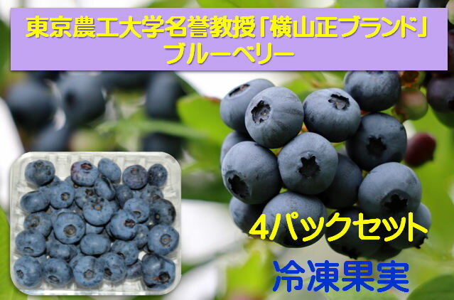 研究農園のこだわりを、冷凍のままお届け。好きな時に、好きなだけ楽しめる、ブルーベリー 冷凍果実。品種によって異なる「多様な味と食感」。9品種のノーザンハイブッシュ系から選んだ4品種の果実をお送りいたします。1パックには120gの冷凍果実が入っています。 口に含むだけで美味しさ広がる。東和ブルーベリーの冷凍ブルーベリー。健康も美容も、ギフトにも、そして自分にも。特別な日のデザートに、冷凍ブルーベリーを添えて。 研究農園のこだわりを、冷凍のままお届け。好きな時に、好きなだけ楽しめる、冷凍ブルーベリー。スムージー、ヨーグルト、パンケーキなど、様々な料理にも使えます。ノーザンハイブッシュ系の冷凍果実各120g入りの4パックセットです。品種によって異なる多様な味と食感があります。口に含むだけで美味しさ広がる。東和ブルーベリーの冷凍ブルーベリー。健康も美容も、ギフトにも、そして自分にも。特別な日のデザートに、冷凍ブルーベリーを添えて。福島県東和町の豊かな自然で育った、安心安全なブルーベリーです。東和の自然の恵みをご自宅で味わえる、東和ブルーベリー研究農園のこだわりを、ぜひお試しくださいブルーベリーは美味しいですか？　本当に美味しいブルーベリー果実をご提供します。ブルーベリーの東京農工大学名誉教授「横山正ブランド」を立ち上げました。是非応援して下さいね。【品種について】【ノーザンハイブッシュ系】北方ハイブッシュ系：デユーク（優れた食感！ギュッと締まった果肉で大粒です）、ブルーレイ（米国農務省が選定したビックセブン（7大品種）の一つ。果実品質に優れ、完熟前は酸味が強いですが熟すと素晴らしく酸甘のバランスの良い味になる。風味の良い味わいはノーザンハイブッシュ系品種の中でもトップクラス。）、ブルークロップ（1952年に発表されたノーザンハイブッシュ系を代表する標準品種、世界で最も多く栽培されている品種。「酸味と甘み」の調和に優れ、マイルドな香りがある。）、エリザベス （品種名はかつてニュージャージー州でクランベリー・ブルーベリー園を経営していた栽培者エリザベス・ホワイト女史に由来。エリザベス・C・ホワイトは、父親から引き継いだ広大な農地をブルーベリー品種開発事業のために解放した民間における最大の功労者。風味が極めて良い　美味しいです）、レガシー（ニュージャージー州立農業試験場から1993年に発表され、風味がよく誰にでも美味しいと感じさせる味を持っている。ブルーベリー狩り初めての方におすすめの果実）等から選びます。 5