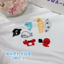 ワッペン アイロン 組み合わせ自由 3個セット 海の生き物 小さめサイズ 【1000円以上購入送料無】 刺繍 アップリケ 海 魚 おさかな シャチ イルカ アザラシ カニ タコ チンアナゴ ニシキアナゴ ハンドメイド 入園 入学 幼稚園 保育園 男の子 女の子