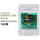 【プチギフト対応】DURVILLEA PLUS 120粒（ダービリアプラス） HORIUCHI H-FUCOIDAN｜ホリウチフコイダン｜ビタミンD｜カルシウム｜大豆イソフラボン｜破骨細胞｜骨折｜アスリート｜フコイダンサプリ｜スポーツサプリ｜国産｜リニューアル