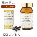 蜂の恵み <濃縮> 熟成プロポリス ソフトカプセル 120粒|カプセルタイプ|サンフローラ|熟成プロポリス液|1カプセルに高濃度プロポリス液250mg相当の本格...