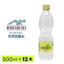 【同梱不可】天然炭酸水 NABEGHLAVI (ナベグラヴィ) 500ml 12本【ペットボトル】|ナチュラルミネラルウォーター|炭酸水|スパークリングウォータ...