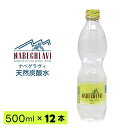 【同梱不可】天然炭酸水 NABEGHLAVI (ナベグラヴィ)　500ml 12本【ペットボトル】｜ナチュラルミネラルウォーター｜炭酸水｜スパークリングウォーター｜硬水｜重炭酸イオン｜ジョージア産