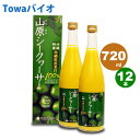 山原シークヮーサー（720ml×12本）琉球フロント5~8倍に薄めてゴクゴク飲める♪お酒や料理にも！