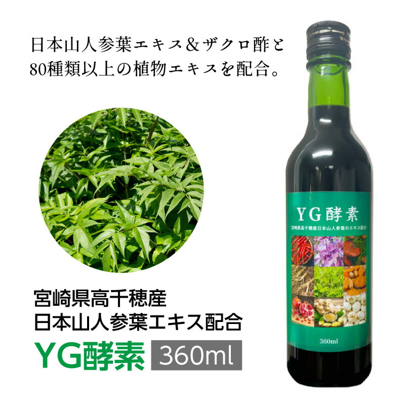 YGǡ360ml ܺ긩滺 ܻͻե۹ ǥɥ  ᤷư ̥åդ