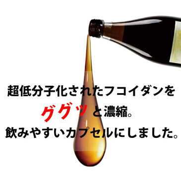 ★送料無料★シーフコイダン カプセルタイプ90粒×1箱｜フコイダン専門店｜フコイダン トンガ産モズク 低分子フコイダン