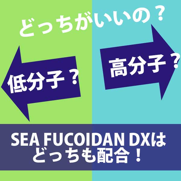 ★送料無料★シーフコイダンDX900ml×2本セット｜フコイダン 無添加トンガ産モズク/チリ産ダービリアコンブ使用・低分子化フコイダン（海藻ドリンク）/HORIUCHI FUCOIDAN ｜ フコダイン fucoidan 国産 日本製