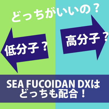 ★送料無料★シーフコイダンDX900ml×2本セット｜フコイダン 無添加トンガ産モズク/チリ産ダービリアコンブ使用・低分子化フコイダン（海藻ドリンク）/HORIUCHI FUCOIDAN ｜ フコダイン fucoidan 国産 日本製