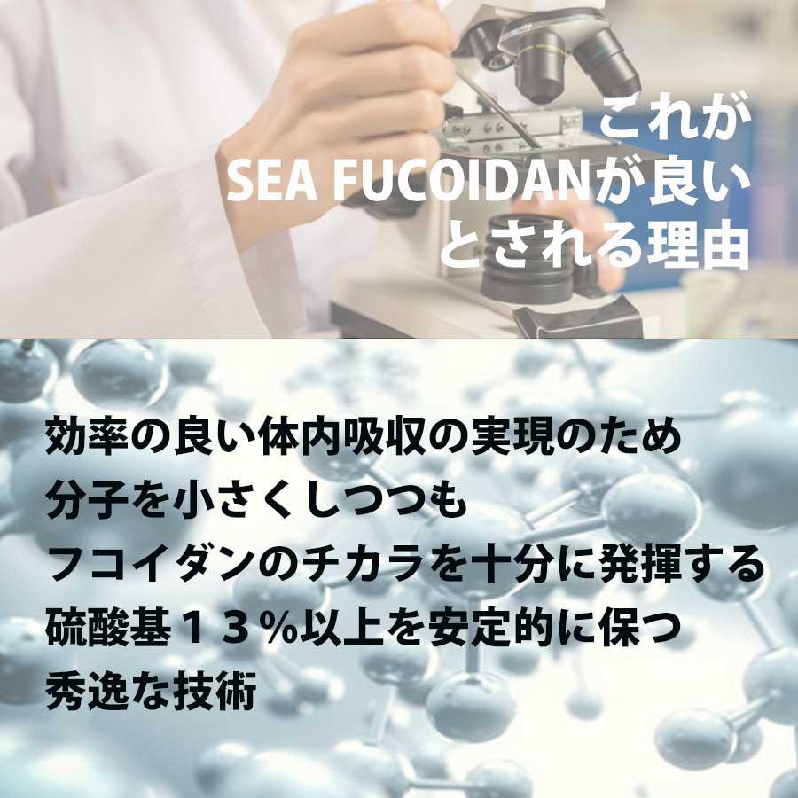 ★送料無料★シーフコイダン ノーマルタイプ900mlx2本｜フコイダン 無添加トンガ産モズク使用・低分子化フコイダン（海藻ドリンク）｜ 低分子フコイダン フコダイン fucoidan 国産 日本製