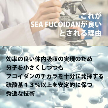 ★送料無料★シーフコイダン ノーマルタイプ900mlx12本｜フコイダン 無添加トンガ産モズク使用・低分子化フコイダン（海藻ドリンク）｜ 低分子フコイダン フコダイン fucoidan 国産 日本製/本数が増えるほどお得なセット