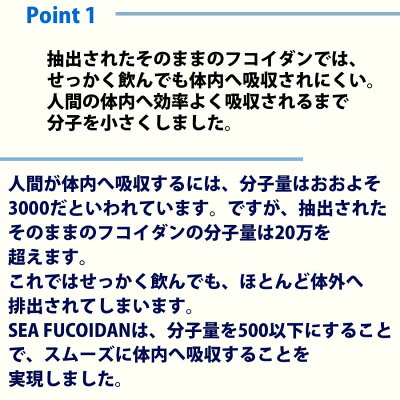【ポイント5倍】シーフコイダン ノーマルタイプ900mlx2本|ホリウチフコイダン|フコイダン 無添加トンガ産モズク使用・低分子化フコイダン(海藻ドリンク)|HORIUCHI FUCOIDAN|HORIUCHI L-Fucoidan| 低分子フコイダン フコダイン fucoidan 国産 日本製 - Image 3