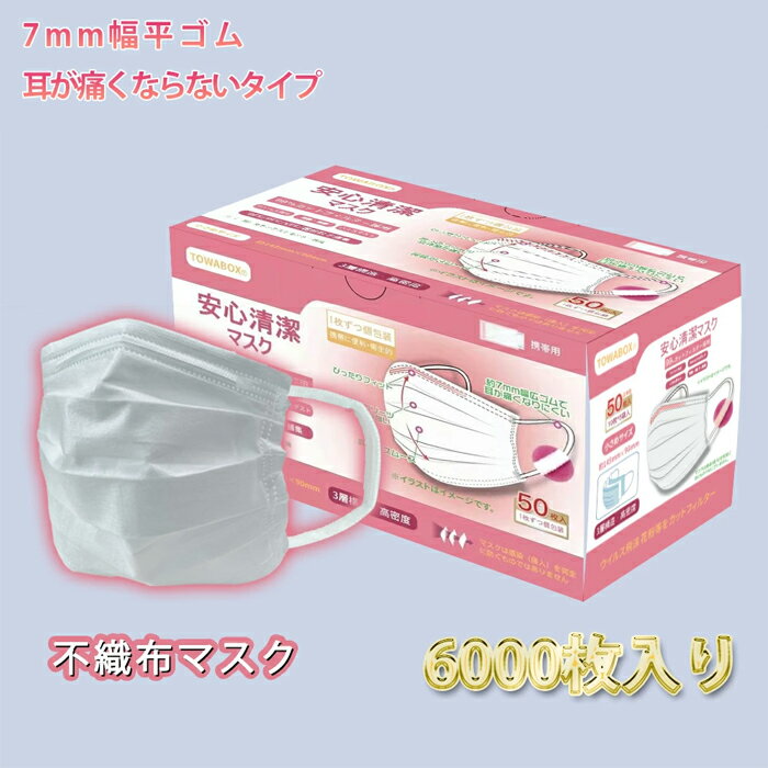 【6000枚】 マスク 平ゴム 1枚づつ 個包装 不織布 使い捨てマスク 企業向け 業務用 在庫あり 箱 あり 小顔 男女兼用 立体 耳が痛くならない 個別包装 使い捨て 飛沫対策 花粉対策 PL保険加入済み 小さめ 3層構造 小さめサイズ 女性用 TOWA 東和