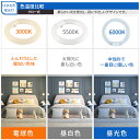 【10個セット】LED蛍光灯 20w形 丸型蛍光灯 丸型 LED 蛍光灯【送料無料】照明 ledベースライト ledライト 20形 led照明 LED蛍光灯 高輝度 グロー式 工事不要 昼光色 昼白色 電球色 LED照明器具 LEDランプ LEDライト 天井照明 ソケット可動 長寿命 省エネ PL保険加入済 即納 3