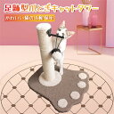 【在庫一掃】【送料無料】キャットタワー 省スペース 据え置き おしゃれ 小型 爪研ぎ 爪とぎ 猫 コンパクト 遊び場 爪とぎポール 可愛い 室内 麻紐 ポール ...