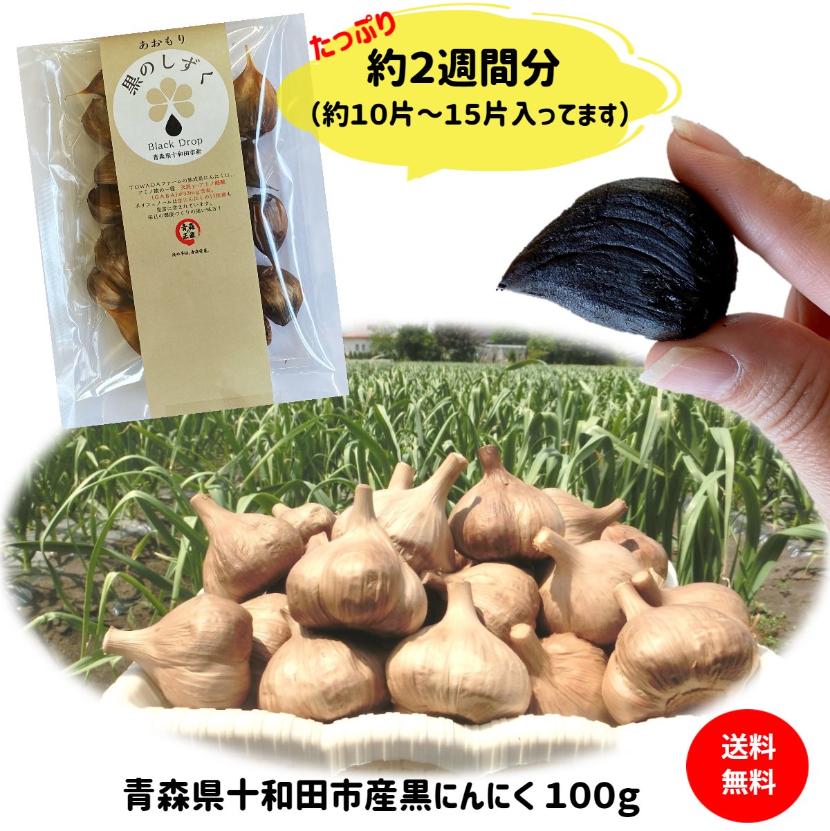 黒にんにく お試し 100g 青森県産 無添加 送料無料 1000円ポッキリ 国産 ギフト 食品 健康 料理 美容 サプリメント にんにく 産地直送 福地ホワイト六片種 買い回り ポイント消化 令和5年産 当日発送 翌日発送(定休日を除く)