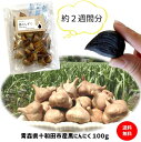 黒にんにく お試し 100g 青森県産 無添加 送料無料 1000円ポッキリ 国産 ギフト 食品 健康 料理 美容 サプリメント にんにく 福地ホワイト六片種 ...
