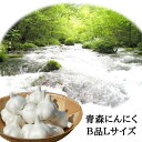 にんにく 国産 B品 Lサイズ 1kg 青森県産 無添加 福地ホワイト六片種 送料無料 贈答品 家庭用 どちらでも 根すり済み プレゼント 贈り物 青森県十和田...