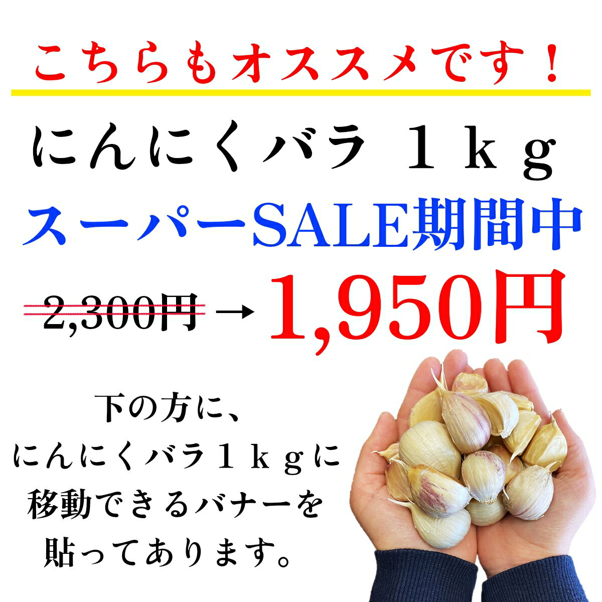 にんにく バラ 500g 訳あり 青森県産 国産 無添加 送料無料 福地ホワイト六片種 バラタイプ 小粒中粒 土付き皮むけ発根・芽有 健康 食品 料理 産地直送 ポイント消化 お得 250g×2袋入 令和5年産 当日発送翌日発送(定休日を除く) 3